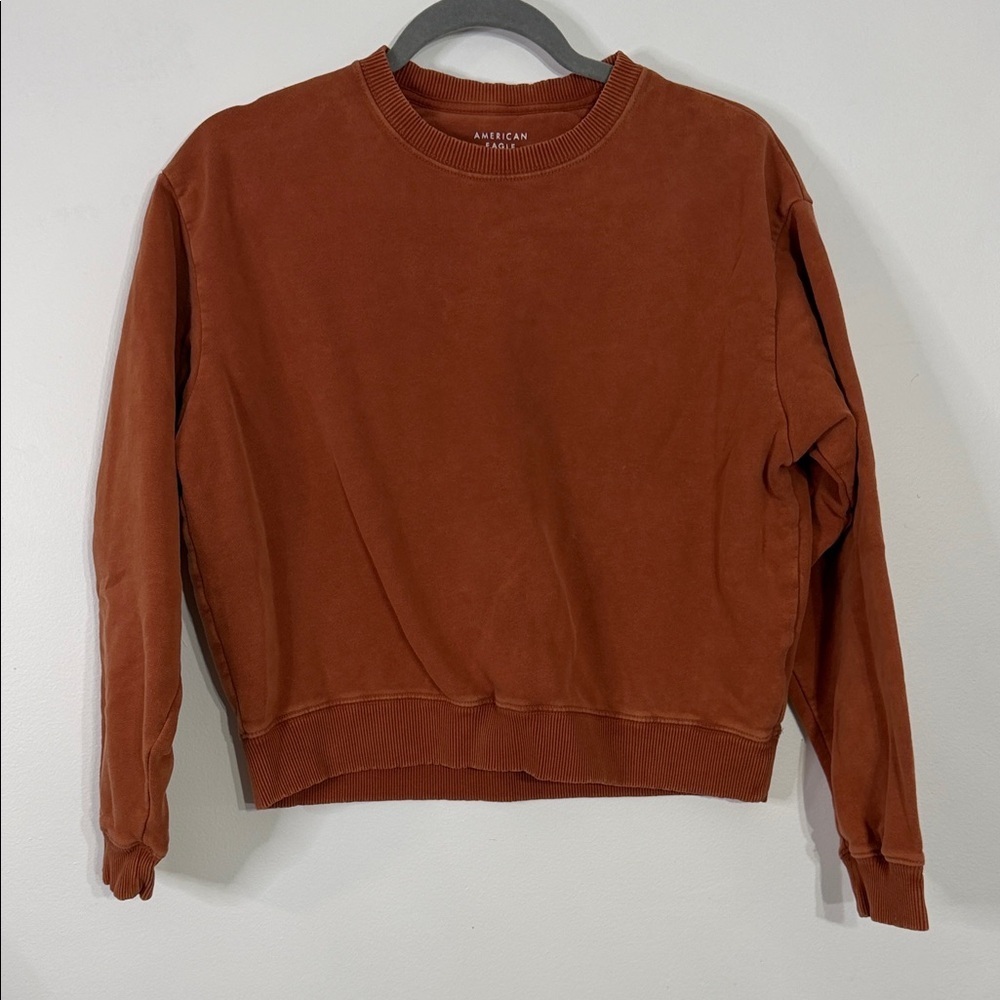 American Eagle Cropped Crew Neck